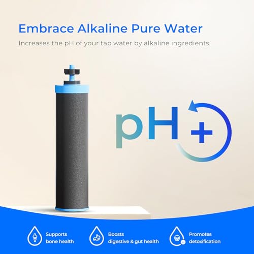 Image of Waterdrop TK-AD-FS Alkaline Gravity Water Filter System, Increase PH, Reduces Fluoride and Chlorine, with 4 Filters and Metal Spigot for Home, Camping, Travel, Emergencies, 2.25G