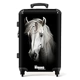 NoBoringSuitcases.com