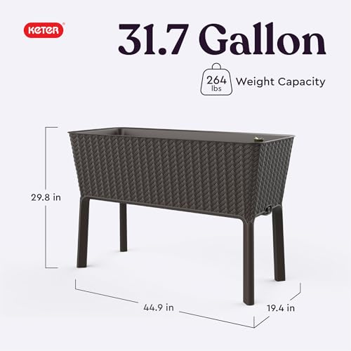 Keter Easy 31.7 Gallon Raised Garden Bed with Self Watering Planter Box and Drainage Plug-Perfect for Growing Fresh Vegetables, Flowers and Herbs, Graphite