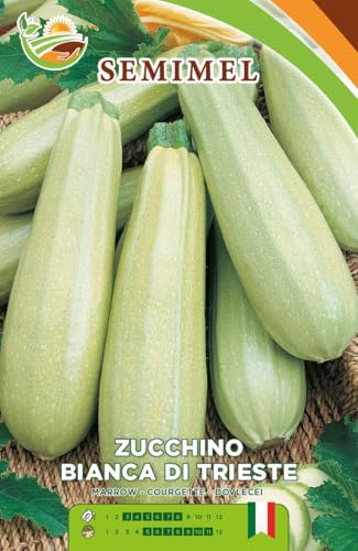 Zucchino Bianco di Trieste - Semi di Zucchino Eretto, Ciclo Precoce, Frutti con Buccia Sottile e Lunghezza 15cm, Semina da Marzo a Luglio 2 confezioni