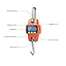 Alomejor 300KG Digital Hanging Scale LCD Backlit Display Handheld 300Kg Mini Crane Scale for Farm Fishing Outdoor