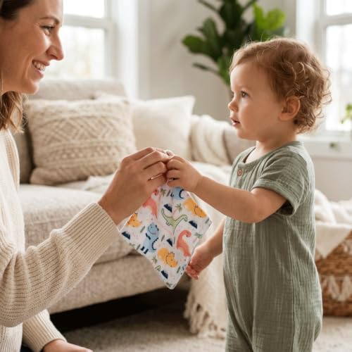 Image of S&T INC. Aura Crinkle Squares Baby Toys, 6 Inch x 6 Inch, Dinosaur Hearts, 2 Pack
