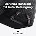 EQUICANI® SAFERIDE Hundesitz mit Isofix für Auto und Reisen mit Haustier