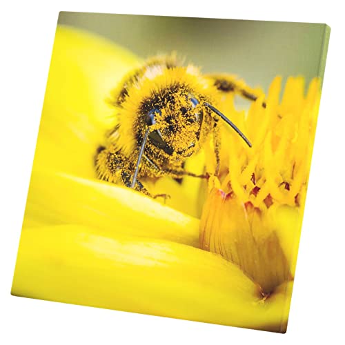 Tableau décoratif abeille 60x60 cm pour illuminer un mur sombre sans repeindre