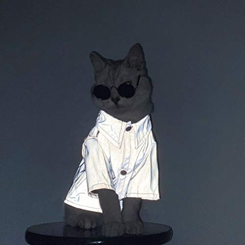 Nnr Cat Reflective Shirt High Visibility Safety Jacket Pet Reflective Shirt Small Dog Raincoat Waterproofwinter Loss Cat Coat (Color : Shirt Xl) #TOP2
