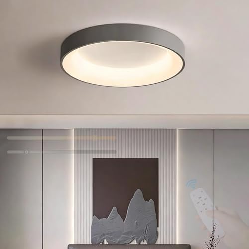 Éclairage de Plafond Moderne Minimaliste Ronde Structure Métal Luminaire LED Gris Haute Finition