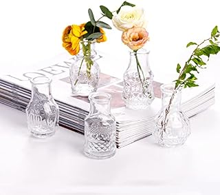 EylKoi Mini Vases 5Pcs/Set Glass Bud Vase Clear - Bud Vases for Flowers Cute Clear Vintage Small Glass Vases Bud Vases in Bulk for Decor, Home Table Centerpieces, Dinning, Wedding