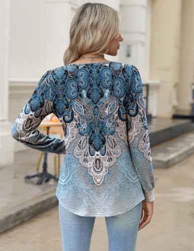 Image of Zeagoo Womens Long Sleeve Tops Fall V Neck Shirt Casual Pleated Tunic Top