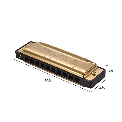 KKmoon Chave de C Diatonic Harmônica Mouthorgan com palhetas ABS Design de superfície de espelho 10
