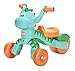 Little Tikes Go and Grow Dino Indoor Outdoor Ride On Toy Trike for Preschool Kids - Toddlers Dinosaur Inspired Toys and Toddler Trike to Develop Motor Skills for Boys Girls Age 1-3 Years