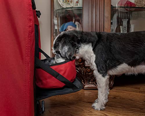 Pet-Life--Folding-Deluxe-360-Vista-View-House-Pet-Crate 360° Vista View House Pet Crate