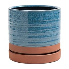 Aqua Blue & Terracotta Red