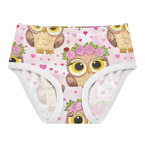 Joisal Funny Toddler Underwear Floral 2t Cotton Little Girl Panties Cute Cartoon Owl Pink Briefs Girls Undies