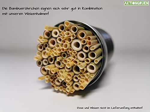 Bambusröhrchen Wildbienenhotel Insektenhotel Bastelsachen (70 Stück) 12cm mit Lehmpulver – Bild 7