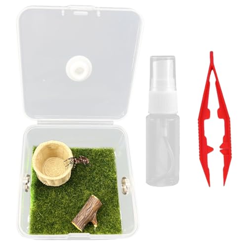 w偎P[X ^`P[X ANw偐 奐 w偁E^`EJGp X^C2