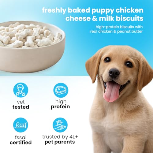 Image of Nootie Milk Biscuits for Puppies - 900g x 2 | Real Milk & Cheese Flavour | Natural & Digestible Calcium Dog Biscuit for Puppy for Training, Dental Care & Growth | Healthy Treats for All Puppy Breeds