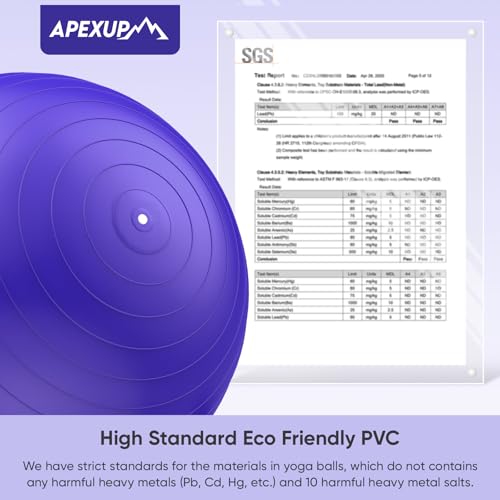 Image of APEXUP Yoga Ball, 660 lbs Anti-Burst Exercise Ball with Pump, 5 Sizes