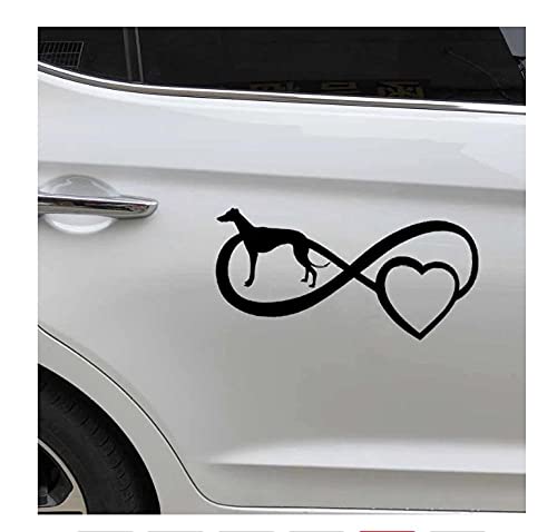 MDGCYDR Adesivi Auto Divertenti 17.8X8.4Cm Funny