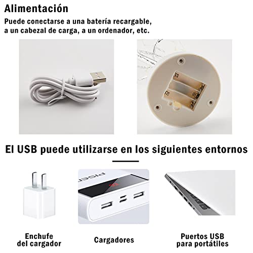 Árboles Y Flores, Home Improvement Imagen adicional
