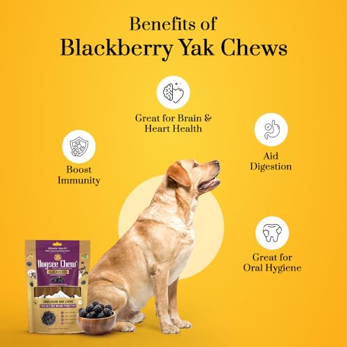 Image of Dogsee Flavored Himalayan Yak Cheese Dental Chews for Dogs 140g (Medium - 2 Chews) | for Healthy Skin & Coat | No Grain, No Gluten | Odorless Dog Treats (Medium, BlackBerry)