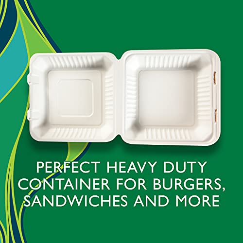 Hefty ECOSAVE 1 Compartment Hinged Lid Containers, 9 X 9