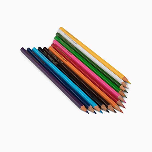 Image of Camel Camlin Kokuyo Oil Pastel (50 Shades) 4192566 Full Size Color Pencil, Assorted, 12 Pieces