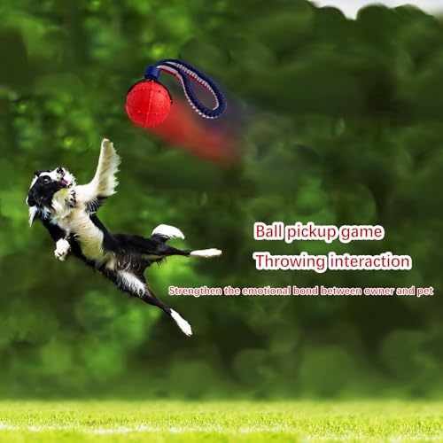 ViVNiK Spielzeugkugel werfen ，Hundespielzeugball, Hundespielzeugball mit Seil, interaktives Haustierspielzeug, Hundeballspielzeug aus Seil, Wurfspielzeugball, große (CQ-H)