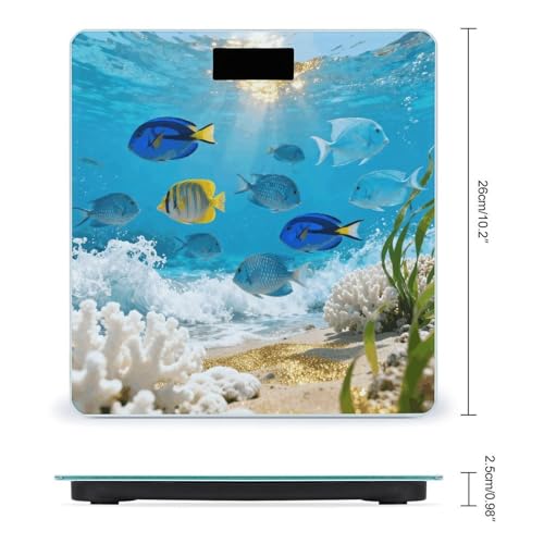 Báscula Digital para Baño con Pantalla LCD y Base Antideslizante miniatura 2