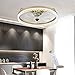 SXLCKJ Ventilatore da soffitto ad Anello con Luce Moderna Ventilatore a velocità Regolabile Plafoniera con Telecomando Dimmerabile (Ventilatore della Lampada)