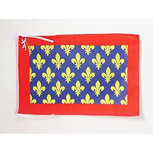 AZ FLAG, French Department of Sarthe Flag, 18'' x 12'', 100% Polyester France Small Banner with Two Cords, Fade Resistant