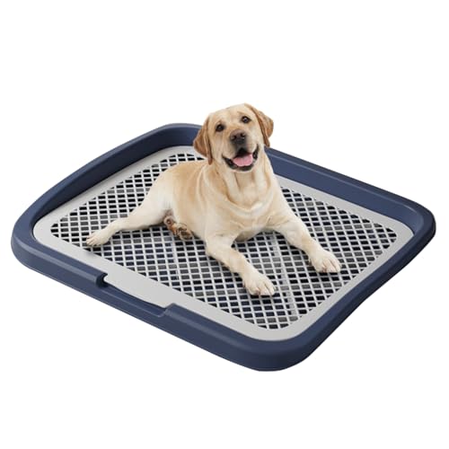 SHINJIDEYO  gC  gCg[ ^ gC ybggC Ch bV pgC }[LO|[tgC t`t t P₷ |ȒP R ~ pgC{bNX O pgCgC (lCr