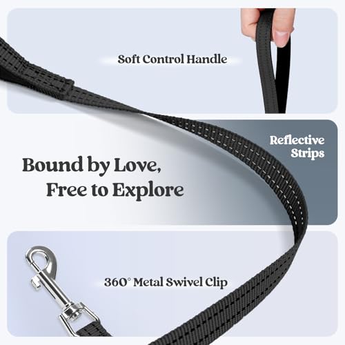 Image of rabbitgoo Dog Harness Small Sized and Leash Set, Step-in Puppy Pet Vest