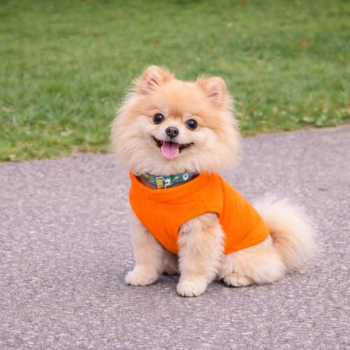 Image of JACKO & CO - Fleece Vest Dog Sweater with Leash Ring - Soft, Warm & Lightweight Pullover Coat for Small & Medium Dogs, Puppies & Cats - Cozy Fall /Winter /Spring Pet Jacket (Orange, X-Small 2-4lbs)