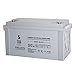 Produktbild OPZV Gel 100AH 12V Solarbatterie Solar Block Wohnmobil Batterie Panzerplatte Versorgungsbatterie