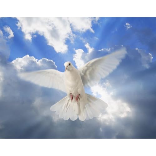 God is with you 12 min Devotional