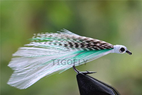 Tigofly 24 pcs Hair Wing Salmon Trout Saltwater Fly Fishing Flies Lures (Size 2)