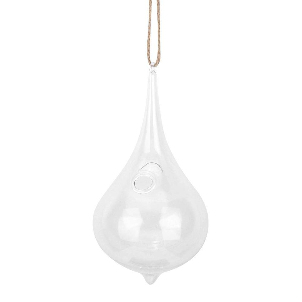 Teardrop Hanging Vase Vases For You