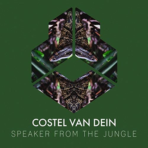 Costel Van Dein