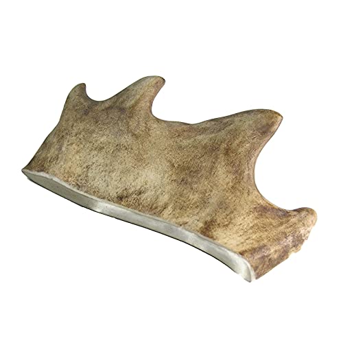 Artisan Gift Co - Damhirschgeweih Kauknochen für Welpen und Große Hunde, Gesamtnettogewicht 200gr+
