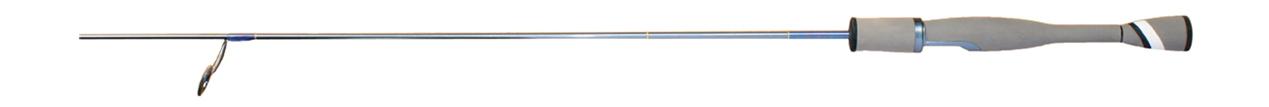 Amazon | IVYLINE(アイビーライン) Asession(アセッション