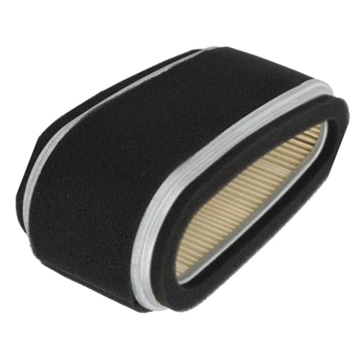 Filtro 11013-2110 para mejorar la combustión y el rendimiento del motor FC420V