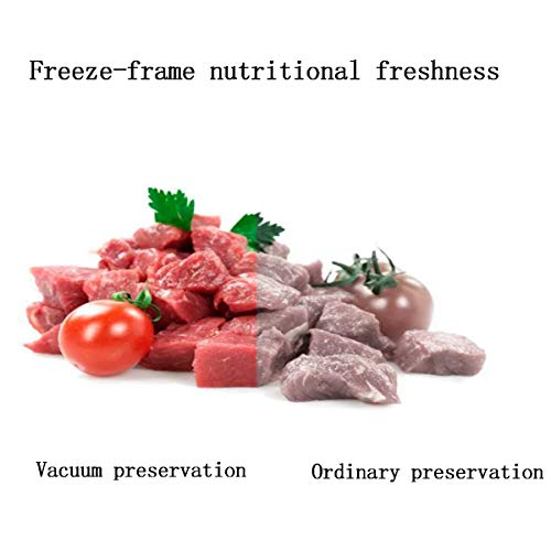 LSLY Verbesserte Version des Vakuumierer Vakuumiergeräts, Automatisches/Manuelles Vakuum-Luftdichtungssystem Mit Trocken… – Bild 3