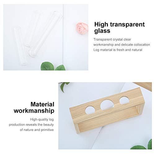 XWU Vaso de Vidro, Tubo de teste de vidro cristal planta terrário vaso vasos de flores para plantas