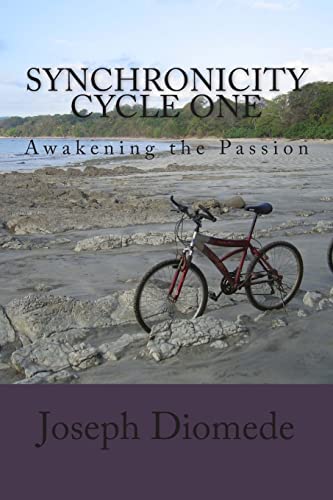 Synchronicity Cycle One: Awakening the Passion