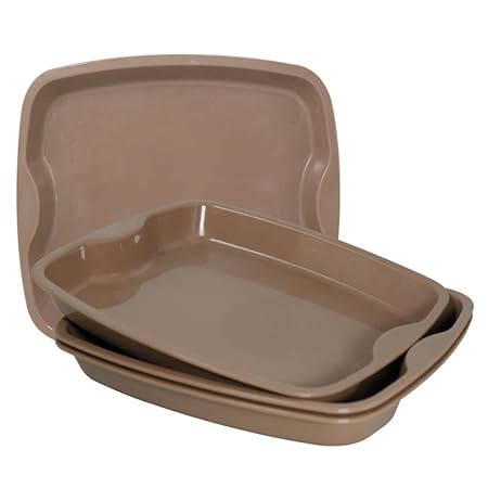 Plastic Prime Good Day Small Serving Trays, Colorful Stackable Trays for Serving Tea Snacks, Set of 3, Rectangular Camel Color