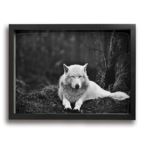 Olverz Wolf - Cuadro de madera con marco de madera, dise�o de lobo solitario, marco de madera, moderno, enmarcado, para pared, hogar y oficina, 16 x 12 pulgadas