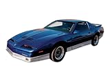 1987 1988 1989 1990 Pontiac Firebird Trans Am Decals & Stripes Kit - Silver