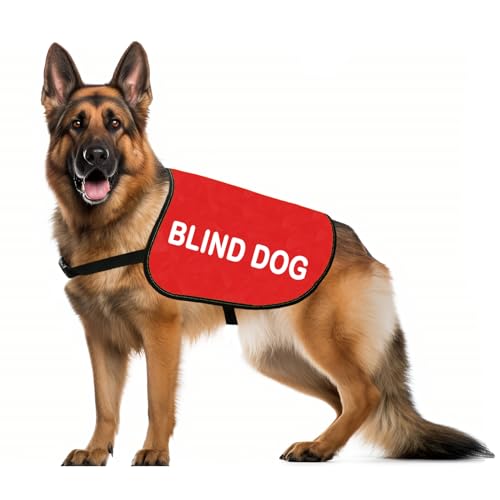 Special Needs Gift Blind Dog Jacket Vest Pet Alerts Blind Dogs Walking Slogan Warning Vest (Bl-ind d-og M)