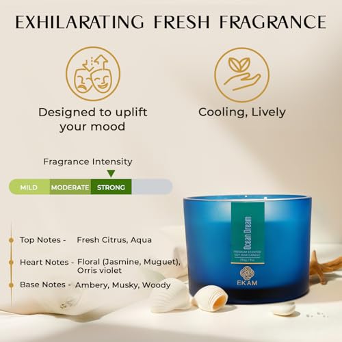 Image of EKAM | 3 Wick Soy Wax Scented Candle| 35 Hours Burn Time| Long Lasting Premium Candles| Ideal for Home Decor, Gifting & Aromatherapy| Ocean Dream Fragrance