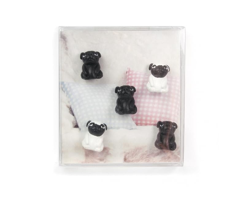 Boite De 8 Aimants 13Mm Couleurs Assorties - Bretonne